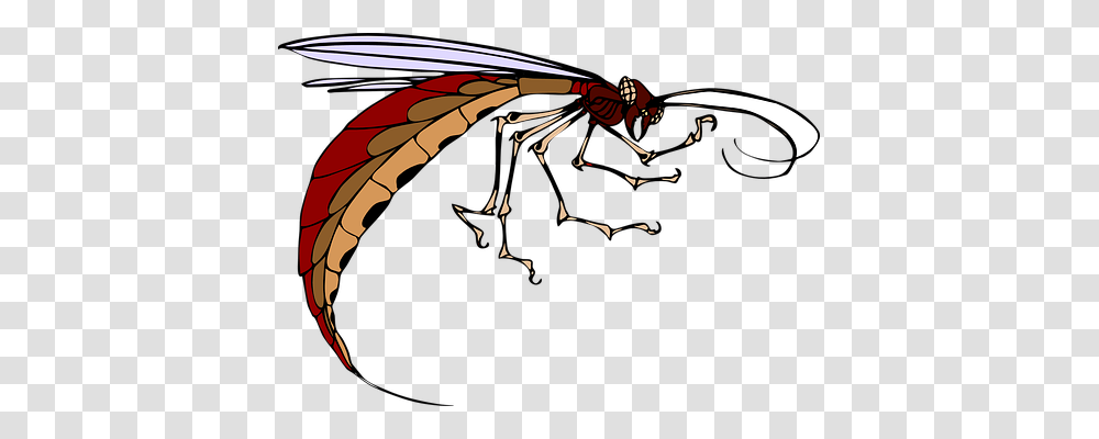 Insect Animals, Dragon, Wasp, Bee Transparent Png