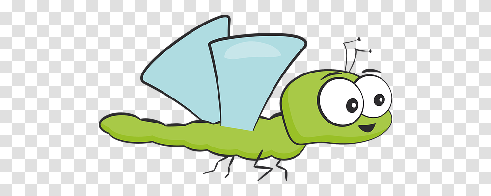 Insect Animals, Invertebrate, Grasshopper, Grasshoper Transparent Png