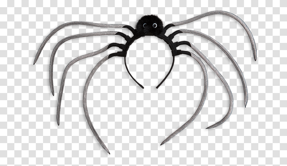 Insect, Animal, Sea Life, Seafood, Invertebrate Transparent Png