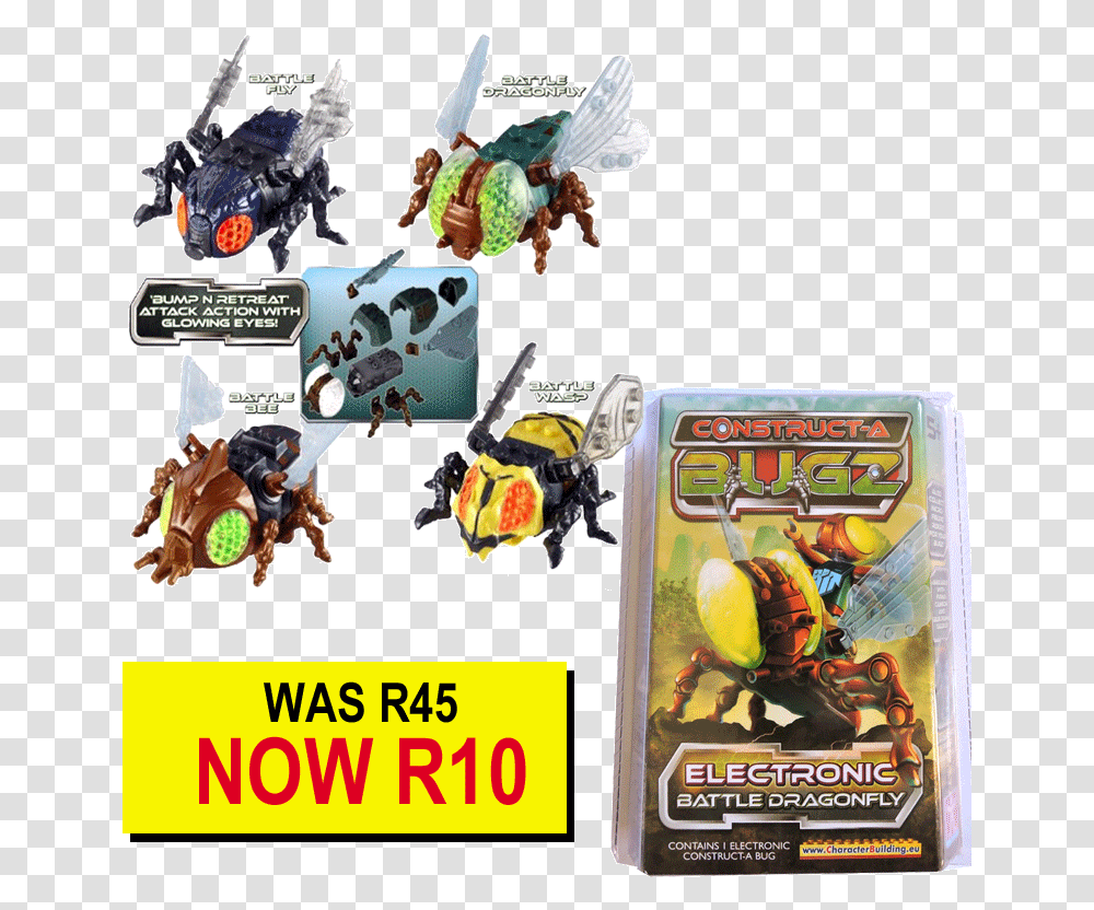 Insect, Animal Transparent Png