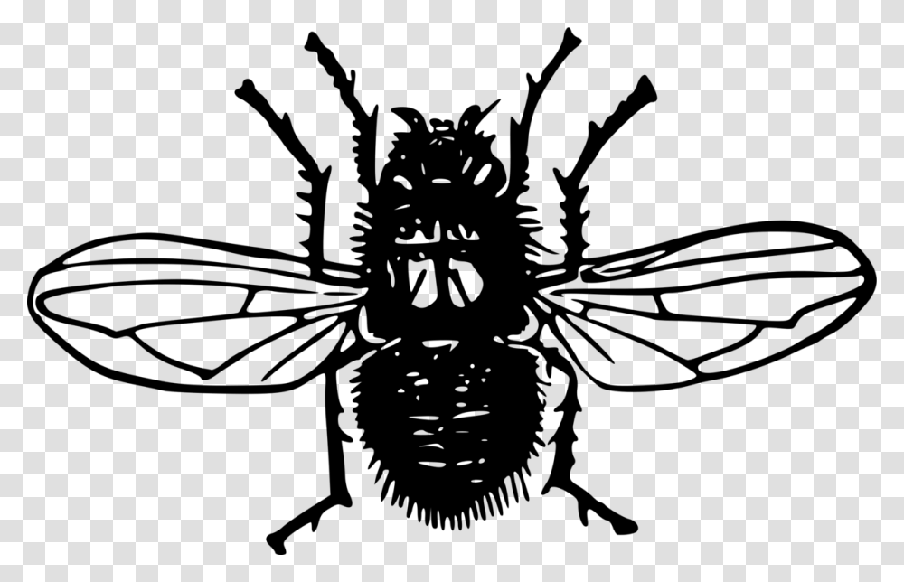 Insect Bald Faced Hornet Bee Wasp, Gray, World Of Warcraft Transparent Png