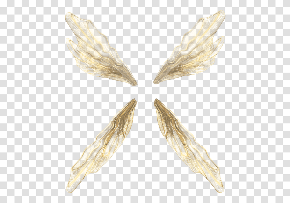 Insect, Bird, Animal, Grain, Produce Transparent Png