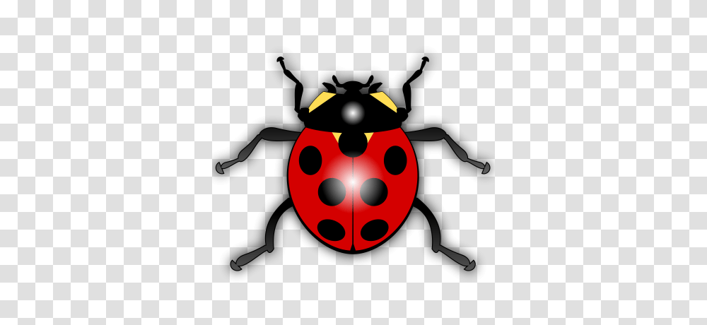 Insect Clip Art Clipart Photo, Ball, Sport, Sports, Bowling Transparent Png