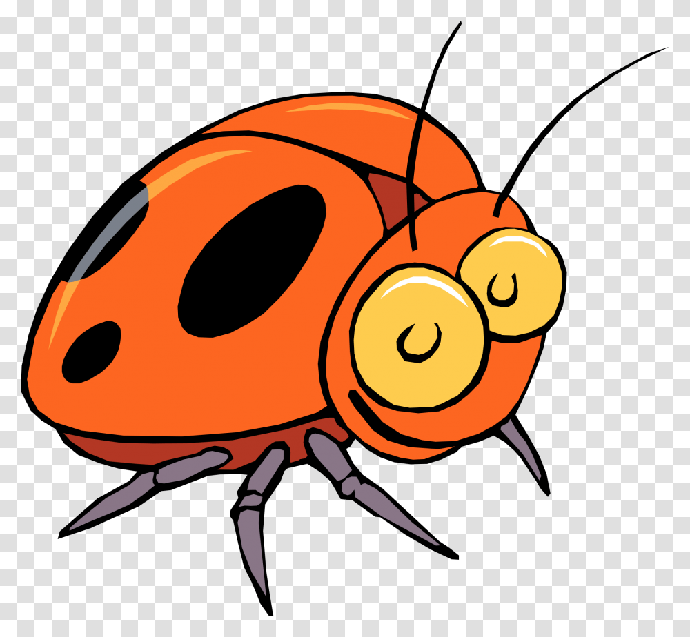 Insect Clip Art, Cockroach, Invertebrate, Animal, Dung Beetle Transparent Png