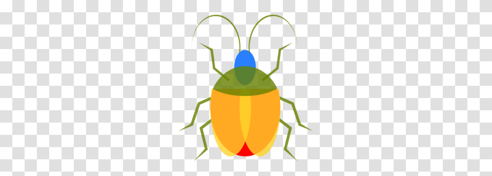 Insect Clip Art, Invertebrate, Animal, Firefly, Flea Transparent Png