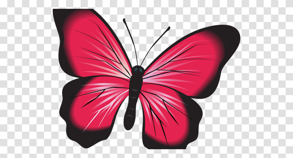 Insect Clipart Butterfly Papillon Clipart, Invertebrate, Animal, Pattern, Ornament Transparent Png