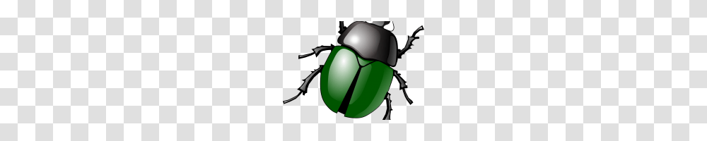 Insect Clipart Insect Clipart Clipart Grasshopper Insects, Soccer Ball, Football, Team Sport, Invertebrate Transparent Png