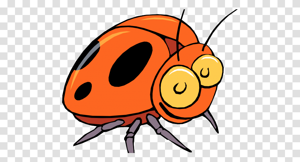 Insect Clipart, Invertebrate, Animal, Cockroach, Helmet Transparent Png