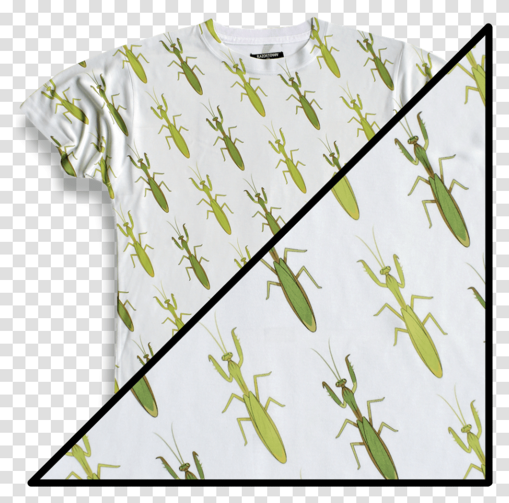 Insect, Apparel, T-Shirt, Home Decor Transparent Png