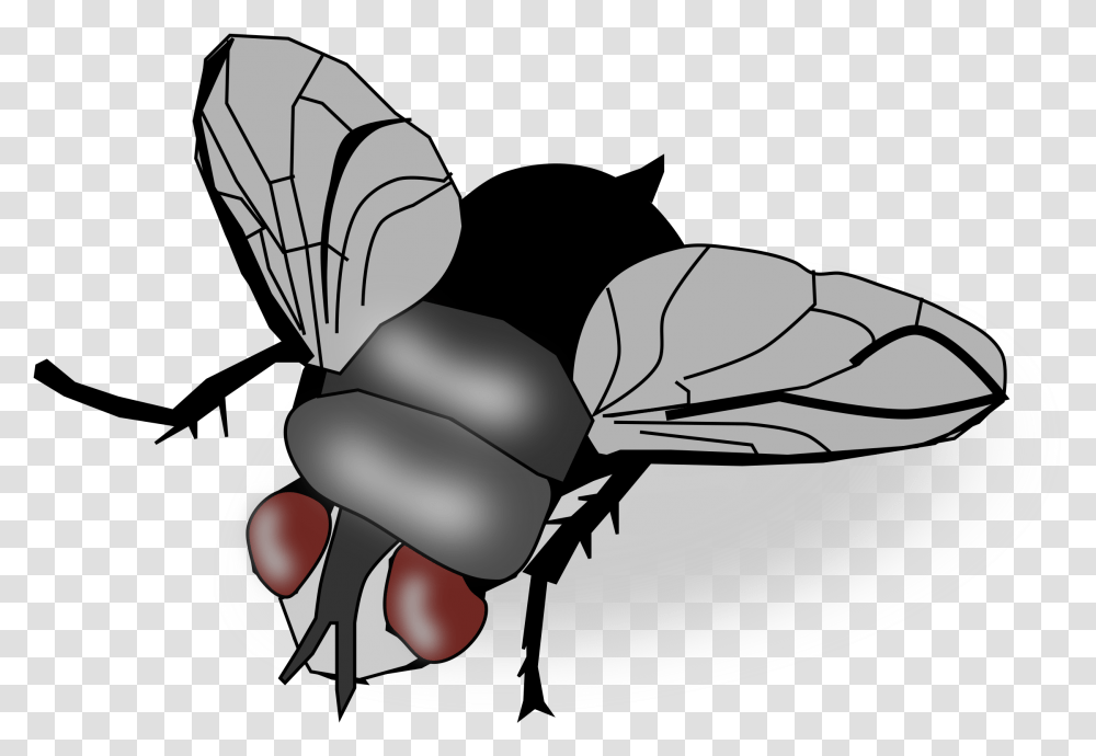 Insect Fly Clip Art House Fly Clipart, Invertebrate, Animal, Wasp, Bee Transparent Png