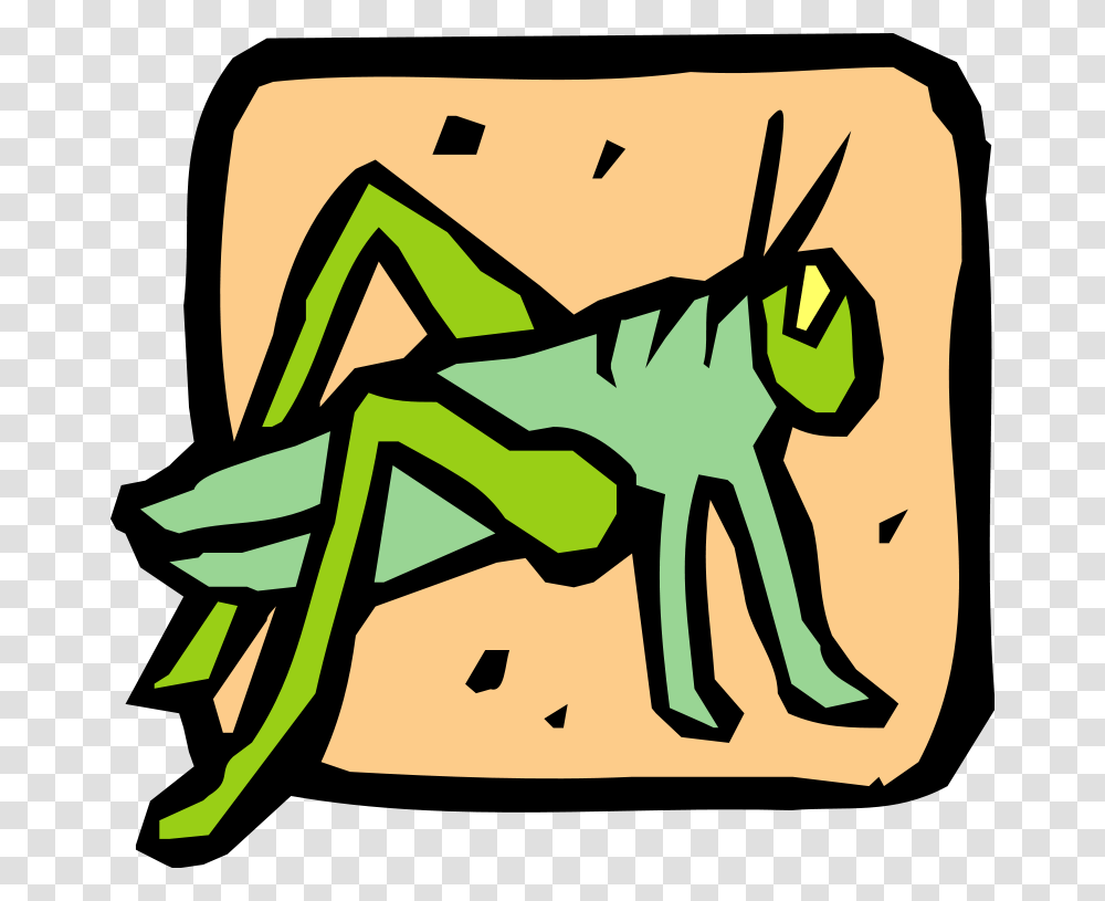 Insect Free Vector, Invertebrate, Animal, Cricket Insect, Grasshopper Transparent Png