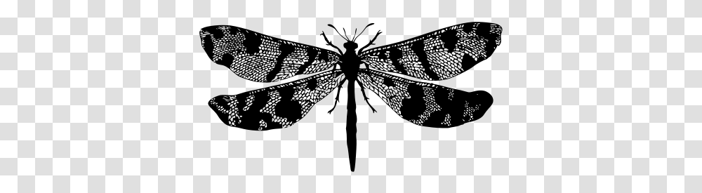 Insect, Gray, World Of Warcraft Transparent Png