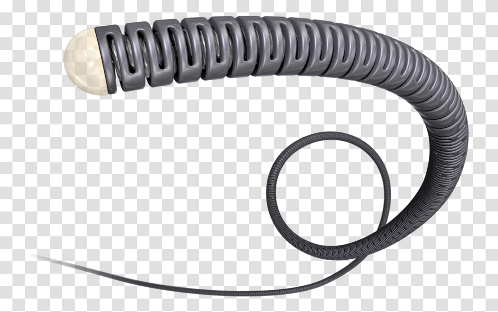 Insect, Hose Transparent Png