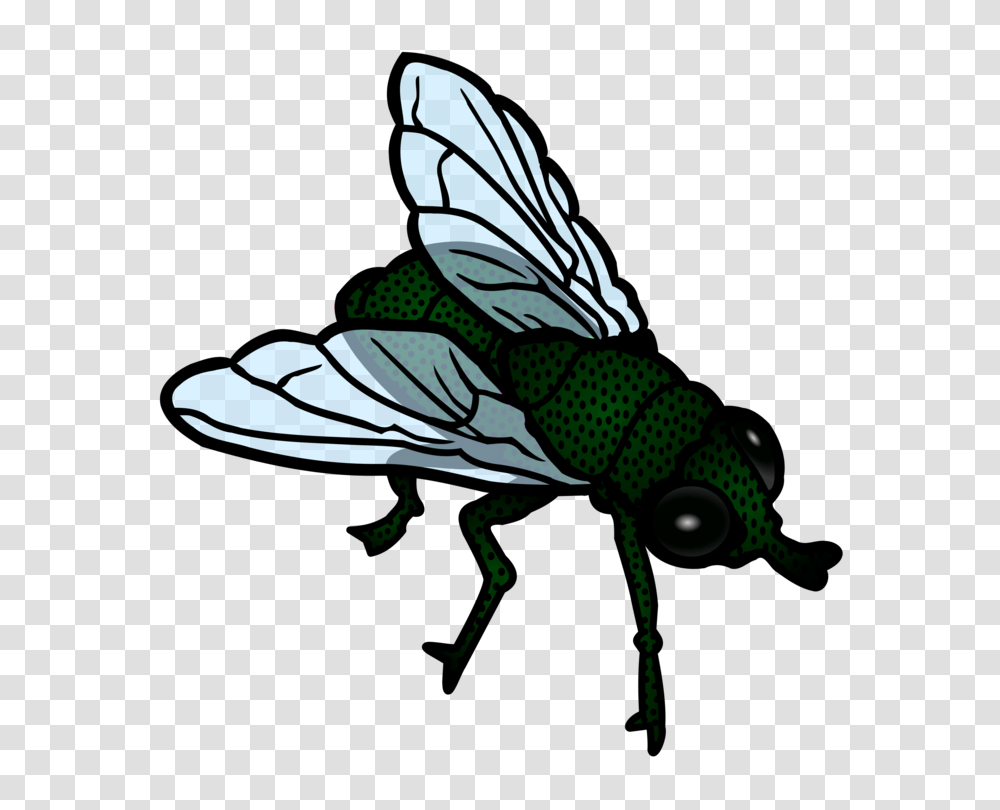 Insect Housefly Flight Download, Invertebrate, Animal, Bird, Cricket Insect Transparent Png