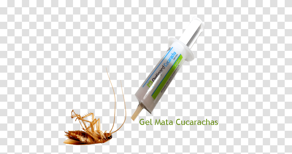 Insect, Injection, Invertebrate, Animal Transparent Png