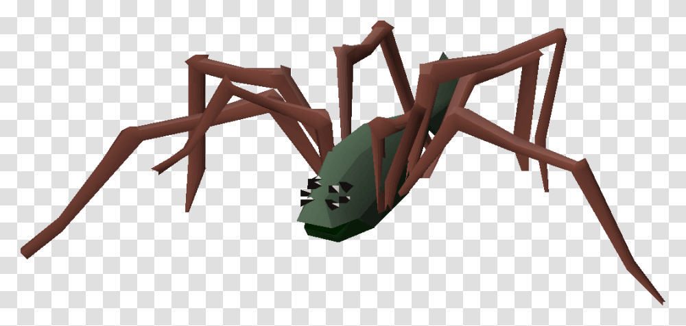 Insect, Invertebrate, Animal, Ant, Spider Transparent Png