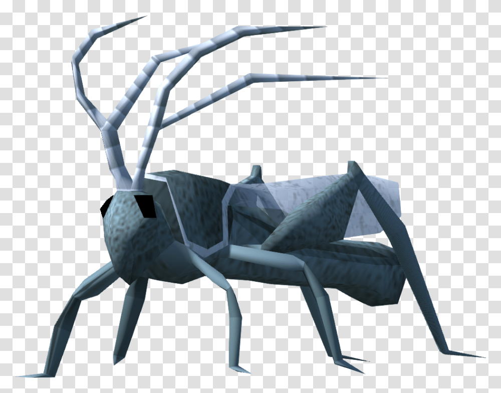 Insect, Invertebrate, Animal, Bow Transparent Png