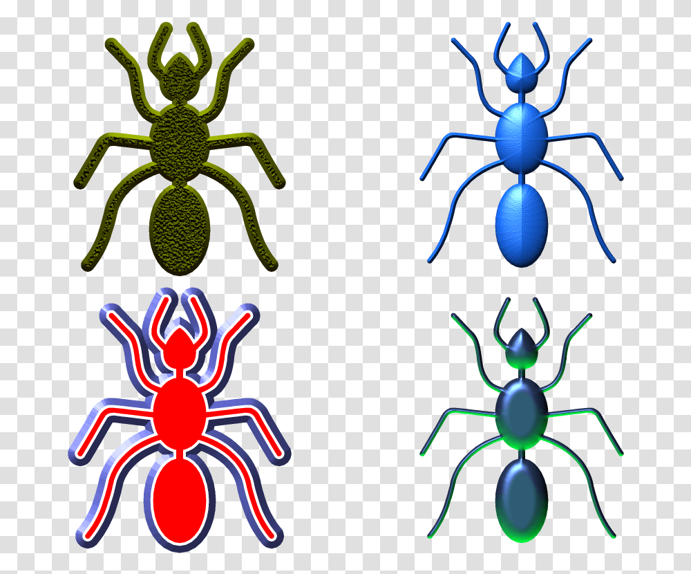 Insect, Invertebrate, Animal, Spider, Arachnid Transparent Png