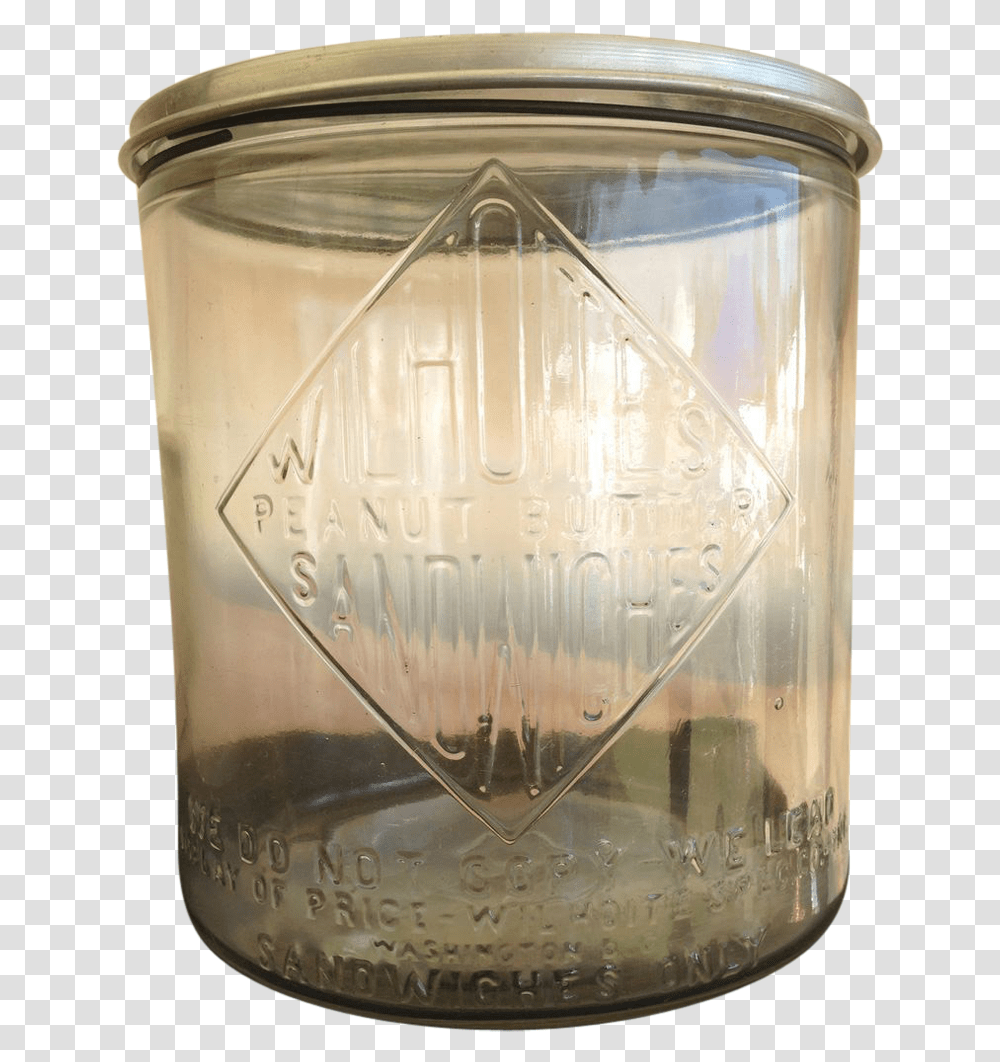 Insect, Jar, Glass, Light Fixture Transparent Png