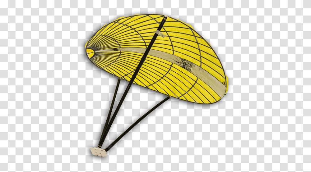 Insect, Lamp, Patio Umbrella, Garden Umbrella, Canopy Transparent Png