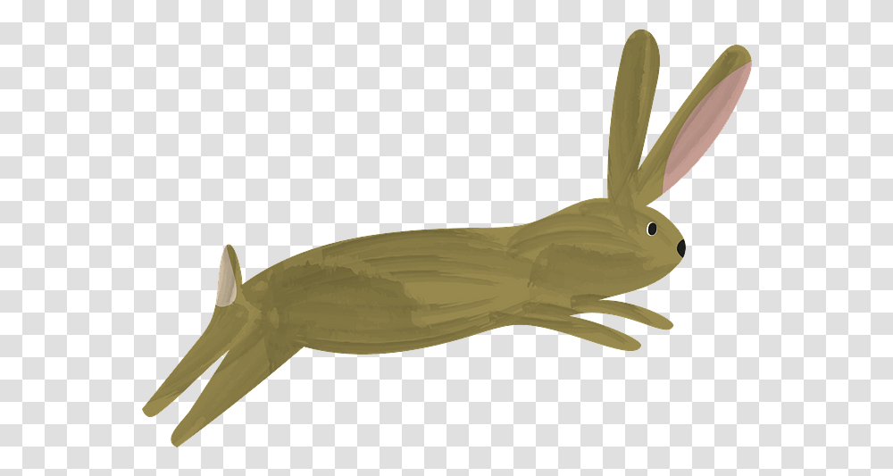 Insect, Mammal, Animal, Rodent, Shark Transparent Png