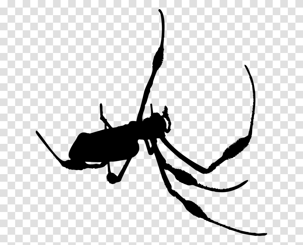 Insect Membrane Winged Insect, Gray, World Of Warcraft Transparent Png