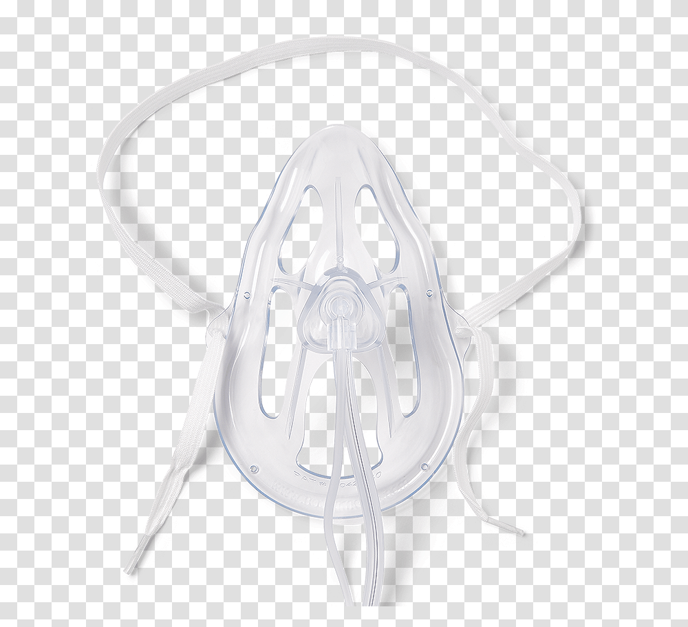Insect, Pirate, X-Ray, Medical Imaging X-Ray Film Transparent Png