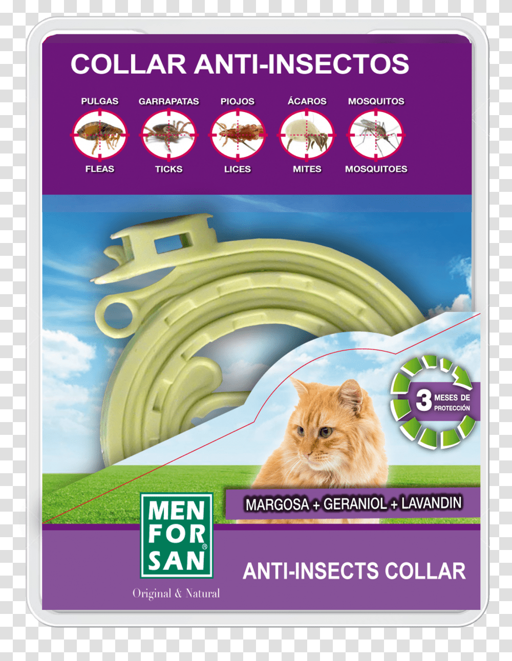 Insect Repellent Collar For Cats, Poster, Advertisement, Flyer, Paper Transparent Png