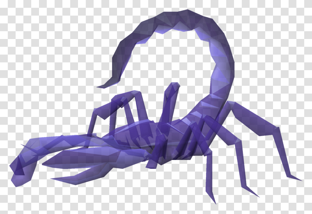 Insect, Scorpion, Invertebrate, Animal Transparent Png