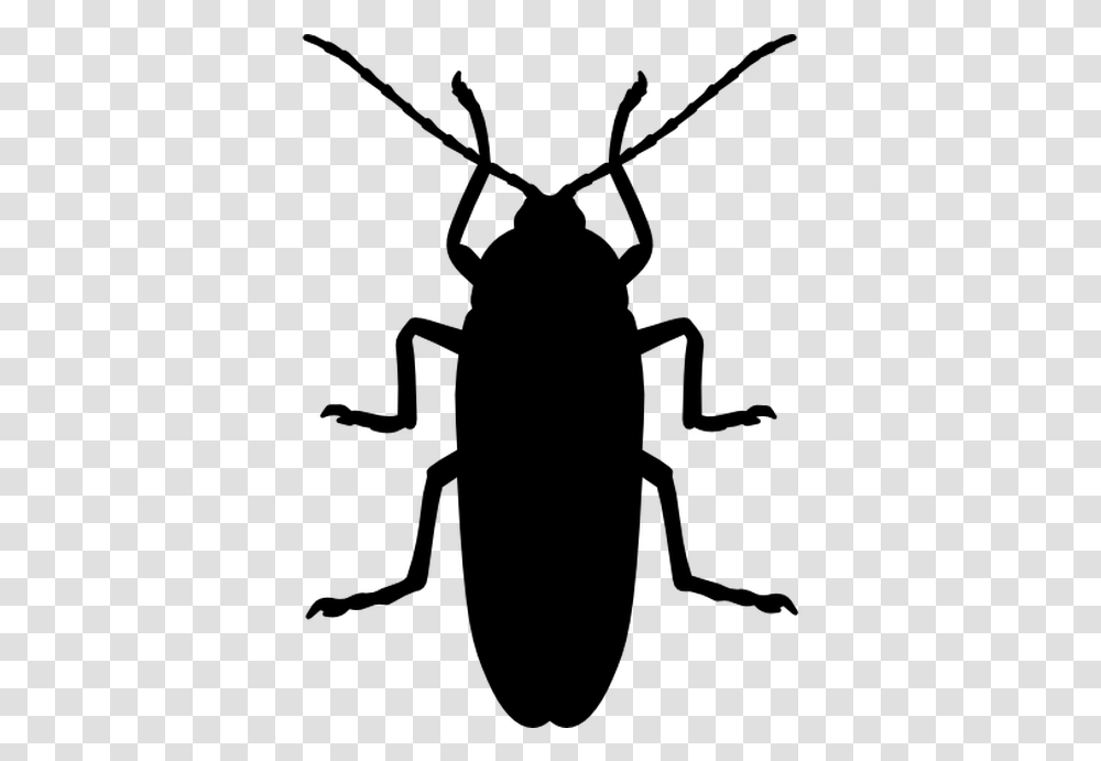Insect Silhouette, Gray, World Of Warcraft Transparent Png