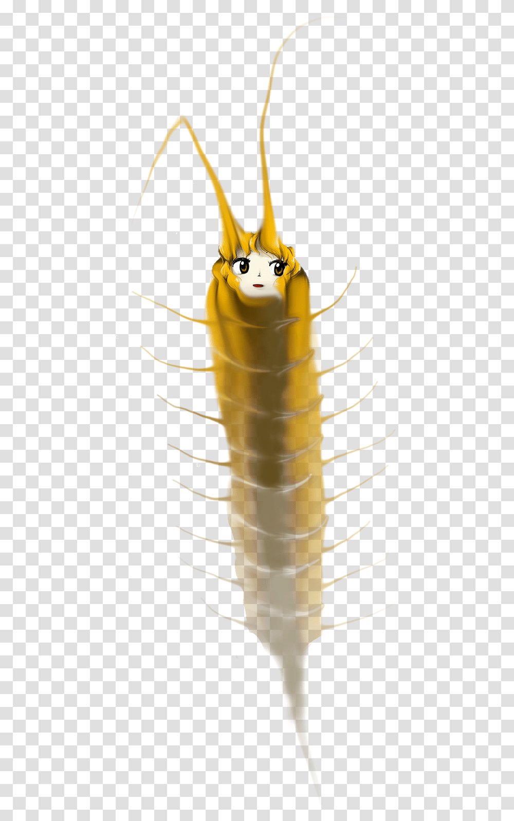 Insect Silverfish Invertebrate Insect, Animal, Food, Sea Life, Aphid Transparent Png