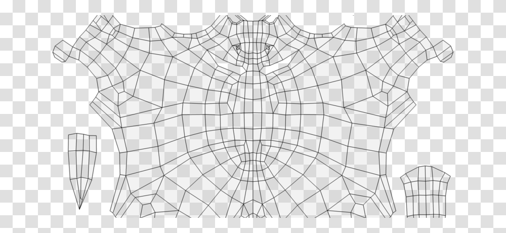 Insect, Spider Web, Person, Human Transparent Png