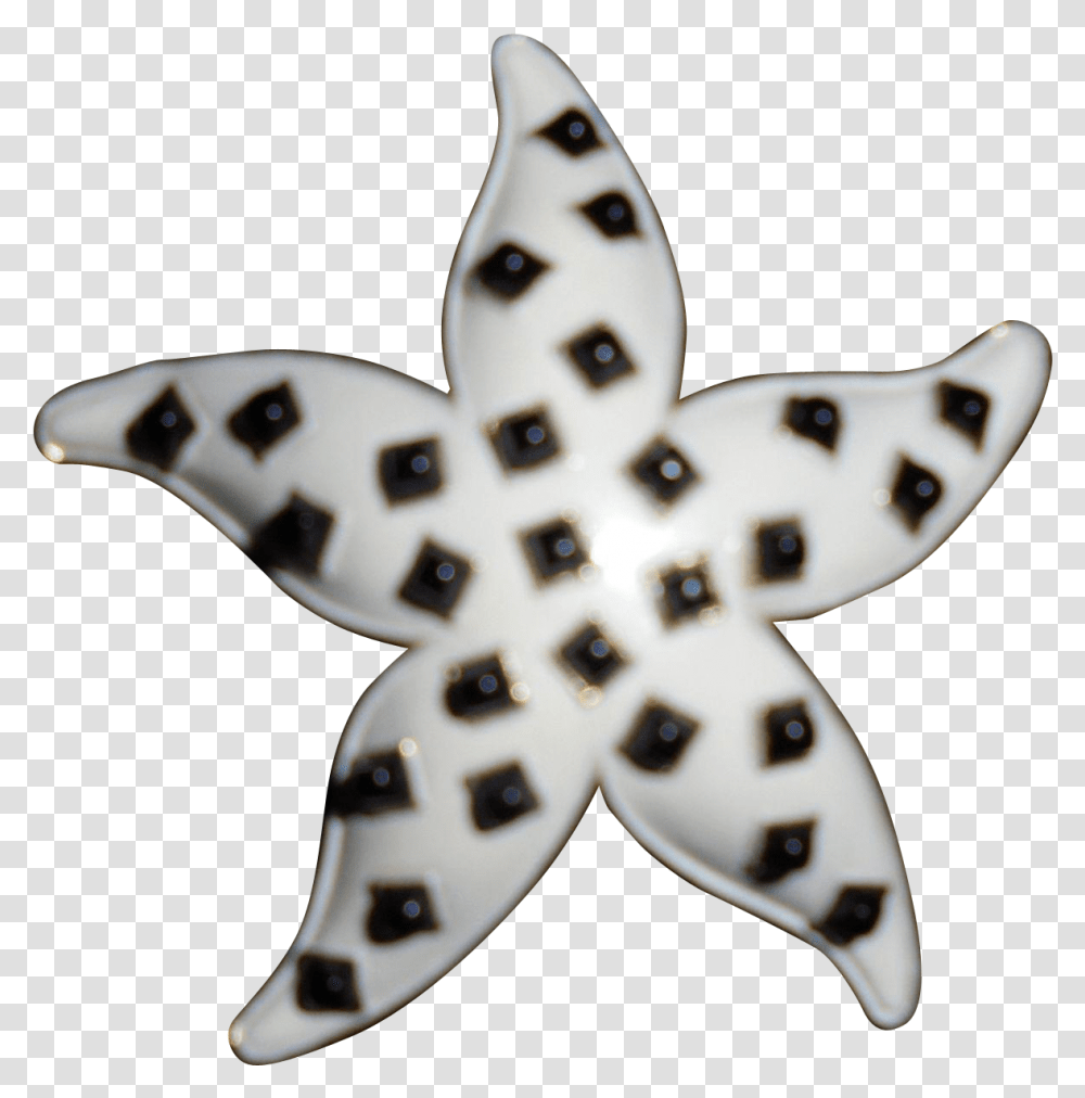 Insect, Star Symbol, Sea Life, Animal Transparent Png