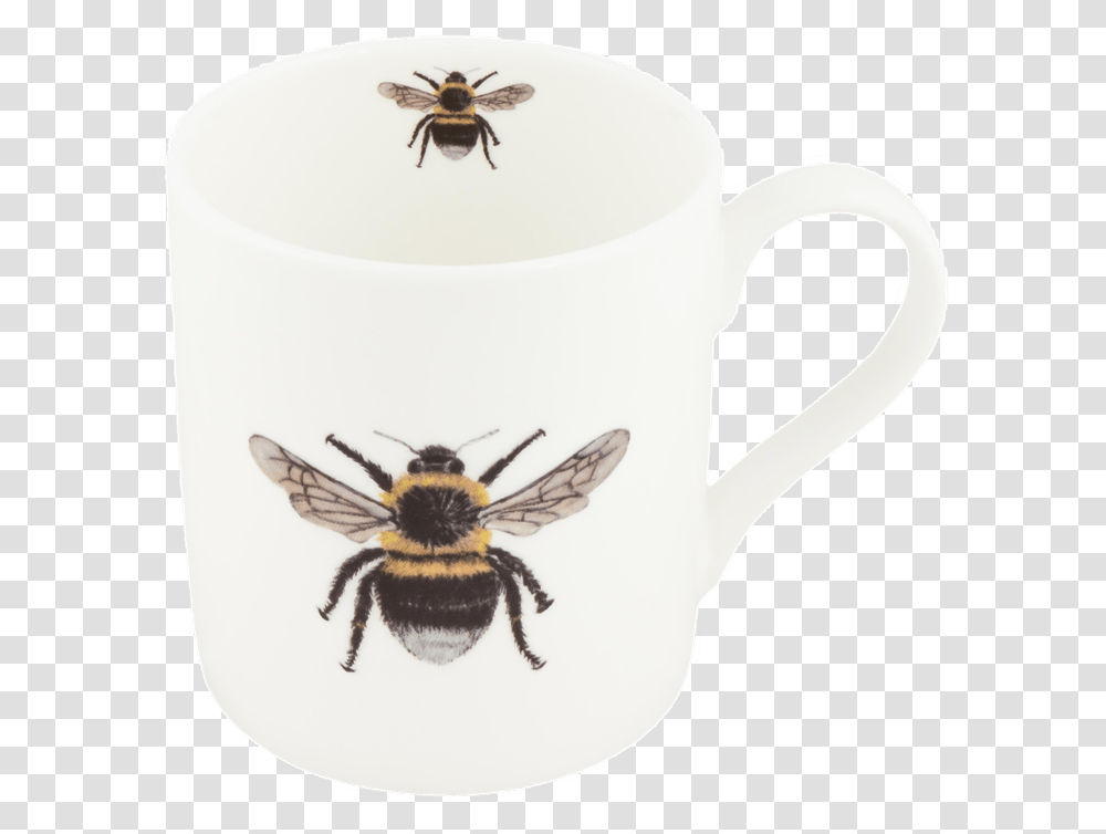 Insect Tall Mugs Mug, Honey Bee, Invertebrate, Animal, Spider Transparent Png