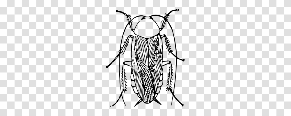 Insect The Ant And The Grasshopper Drawing White, Gray, World Of Warcraft Transparent Png