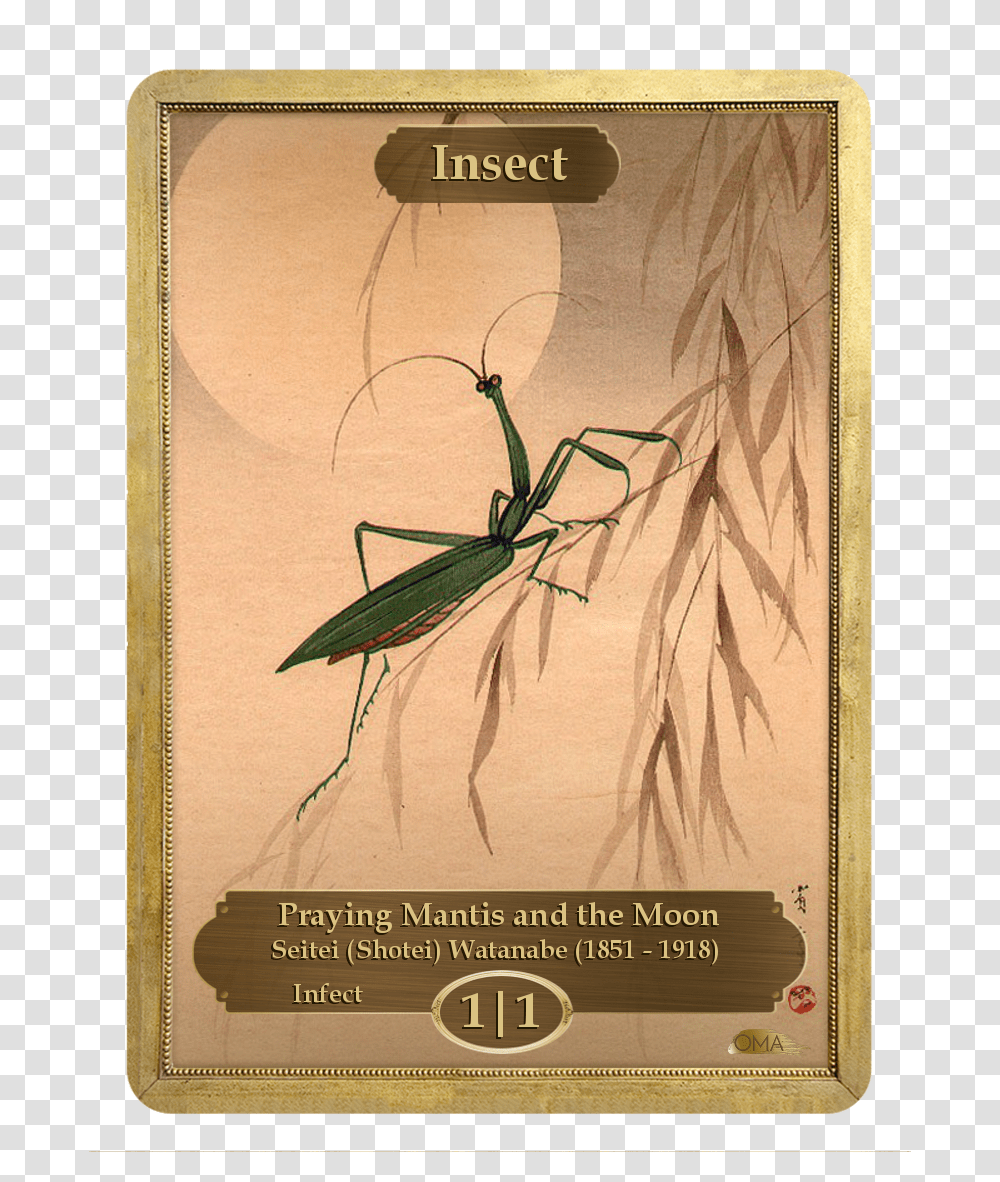 Insect Token By Seitei Watanabe 1 1 Insect Token, Grasshopper, Invertebrate, Animal, Grasshoper Transparent Png