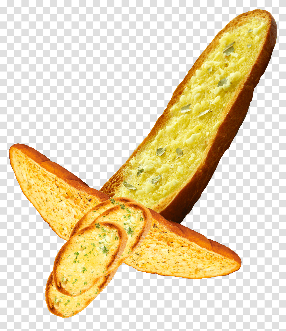 Insect Transparent Png