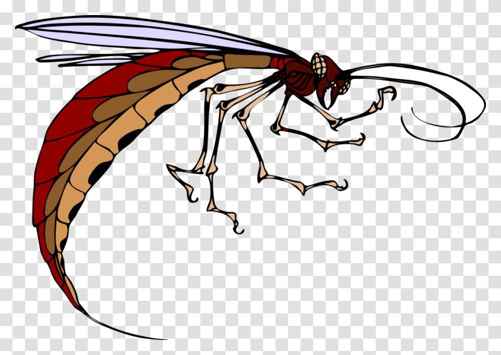 Insect Wing Mosquito Download Computer Icons, Dragon, Invertebrate, Animal, Wasp Transparent Png