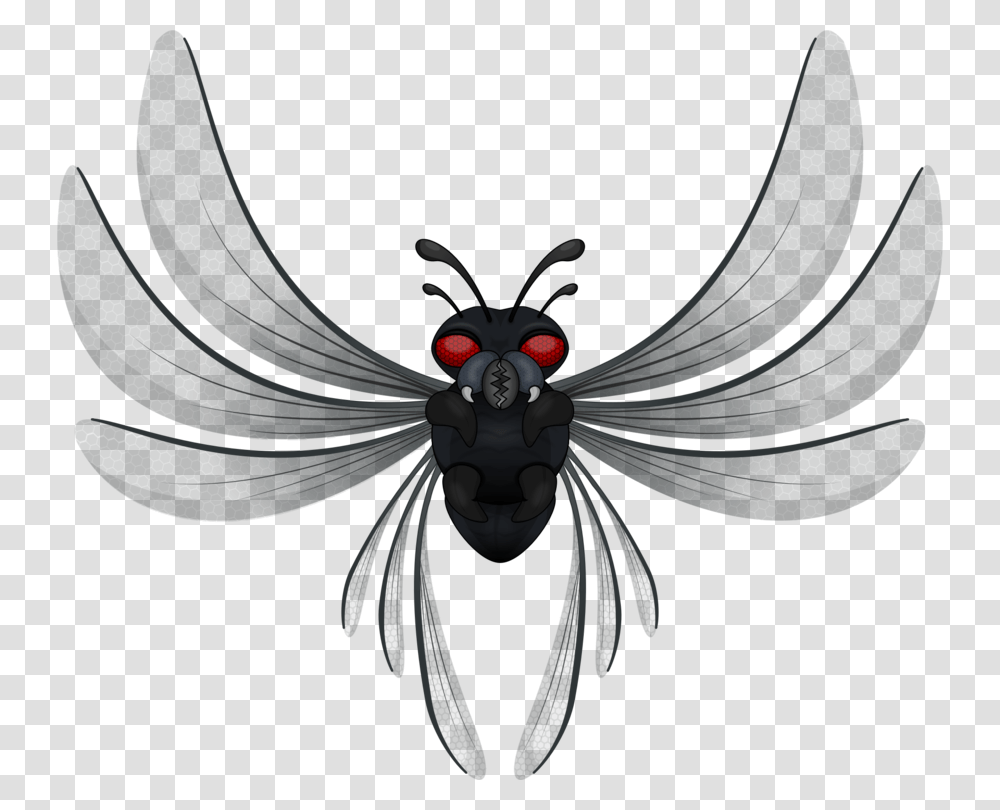 Insect Wing Vexel Inkscape Bicho Clipart, Invertebrate, Animal, Black Widow, Spider Transparent Png