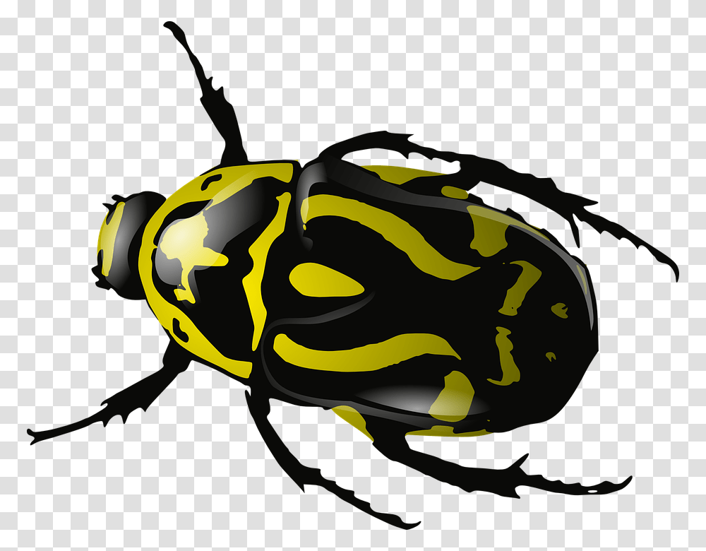 Insects And Bugs Insects And Bugs Images, Wasp, Bee, Invertebrate, Animal Transparent Png