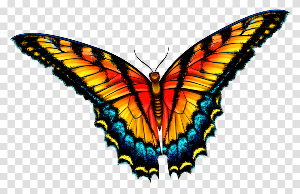 Insects Clipart Batterfly Babochki Na Prozrachnom Fone, Animal, Invertebrate, Butterfly, Monarch Transparent Png