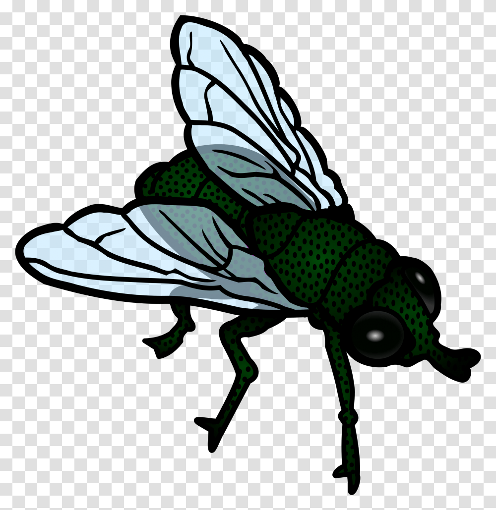 Insects Clipart Fly Fly Clipart Black And White, Invertebrate, Animal, Cricket Insect, Bird Transparent Png