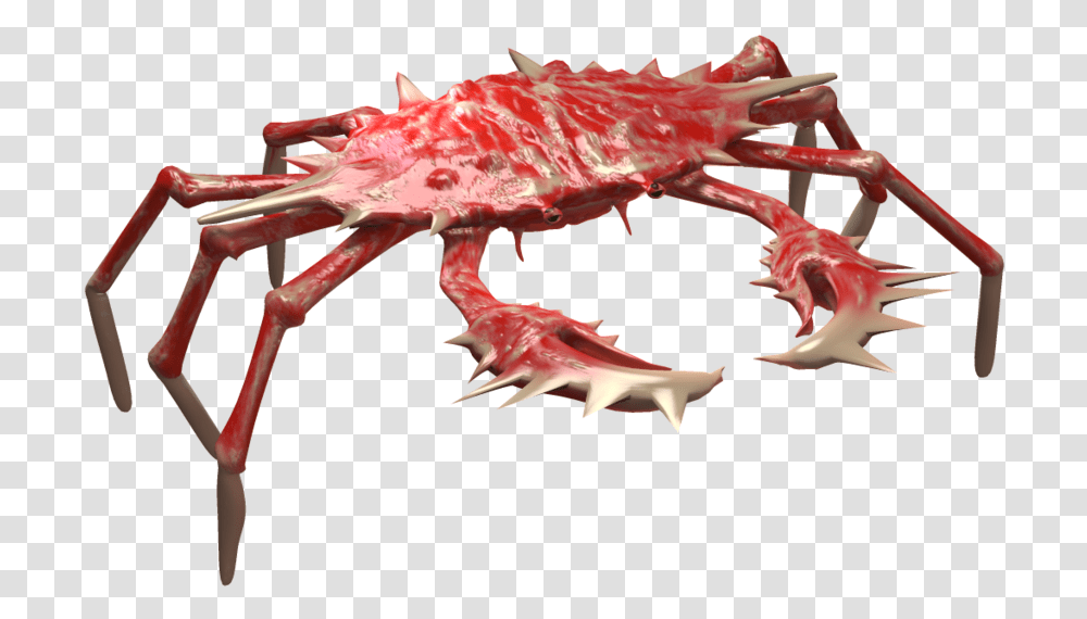 Insects Crab No Background, Seafood, Sea Life, Animal, King Crab Transparent Png