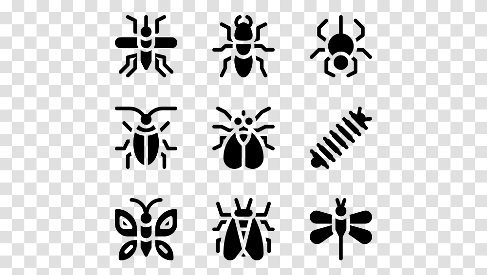 Insects Insect, Gray, World Of Warcraft Transparent Png