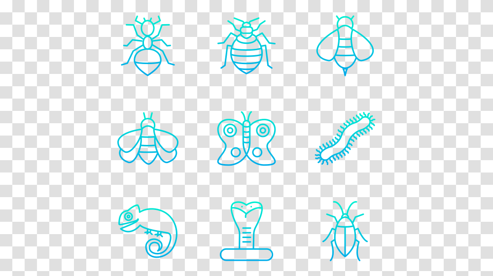 Insects, Pattern, Alphabet Transparent Png