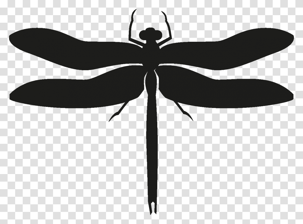 Insects Set Silhouette Dragonfly, Invertebrate, Animal, Anisoptera, Axe Transparent Png