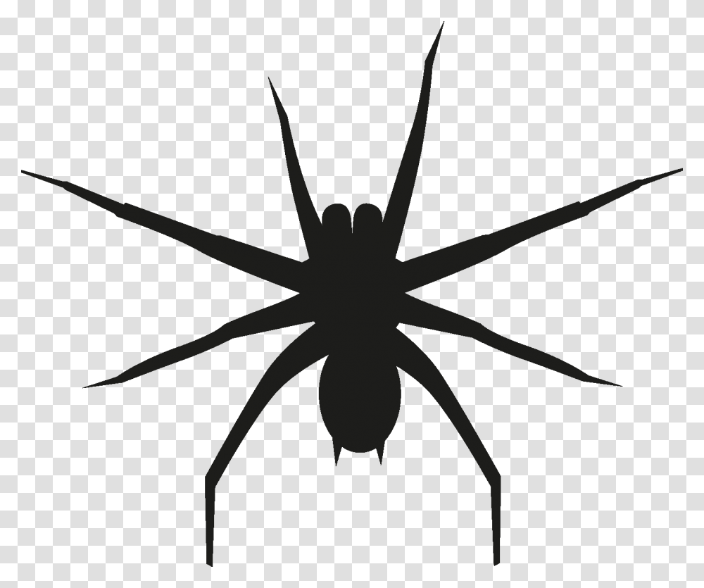 Insects Set Silhouette Wolf Spider, Invertebrate, Animal, Arachnid, Stencil Transparent Png