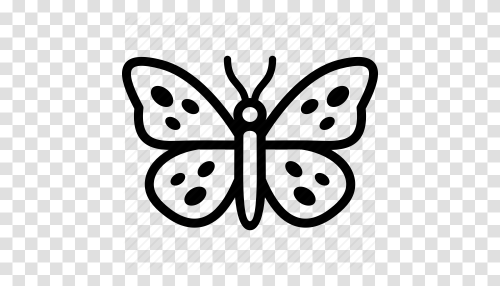 Insects, Number, Logo Transparent Png