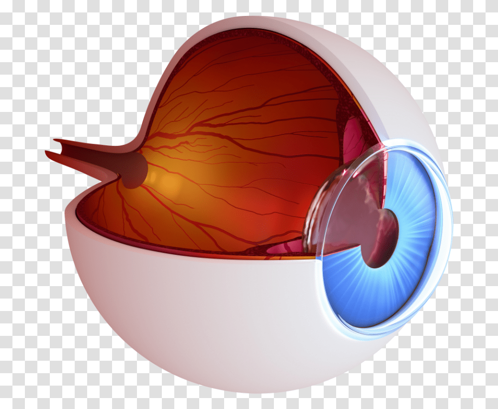 Inside An Eye, Sphere, Bowl, Sunglasses, Accessories Transparent Png