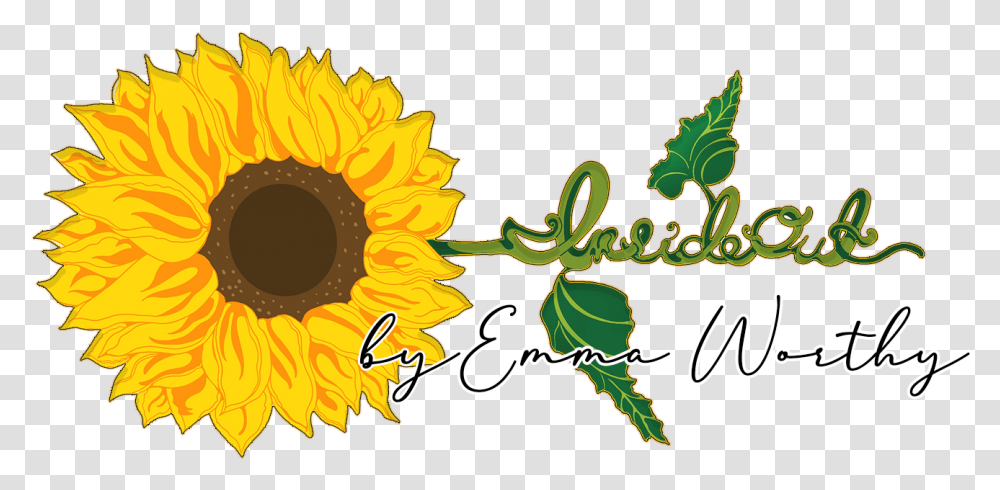 Inside Out Sunflower, Graphics, Art, Plant, Blossom Transparent Png